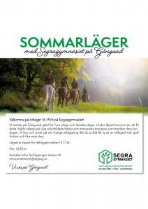 Läs mer om artikeln Sommarläger