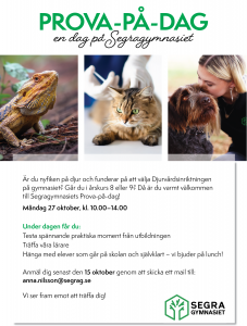 Läs mer om artikeln Prova-på-Dag Djurvård