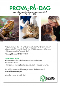 Läs mer om artikeln Prova på Djurvård