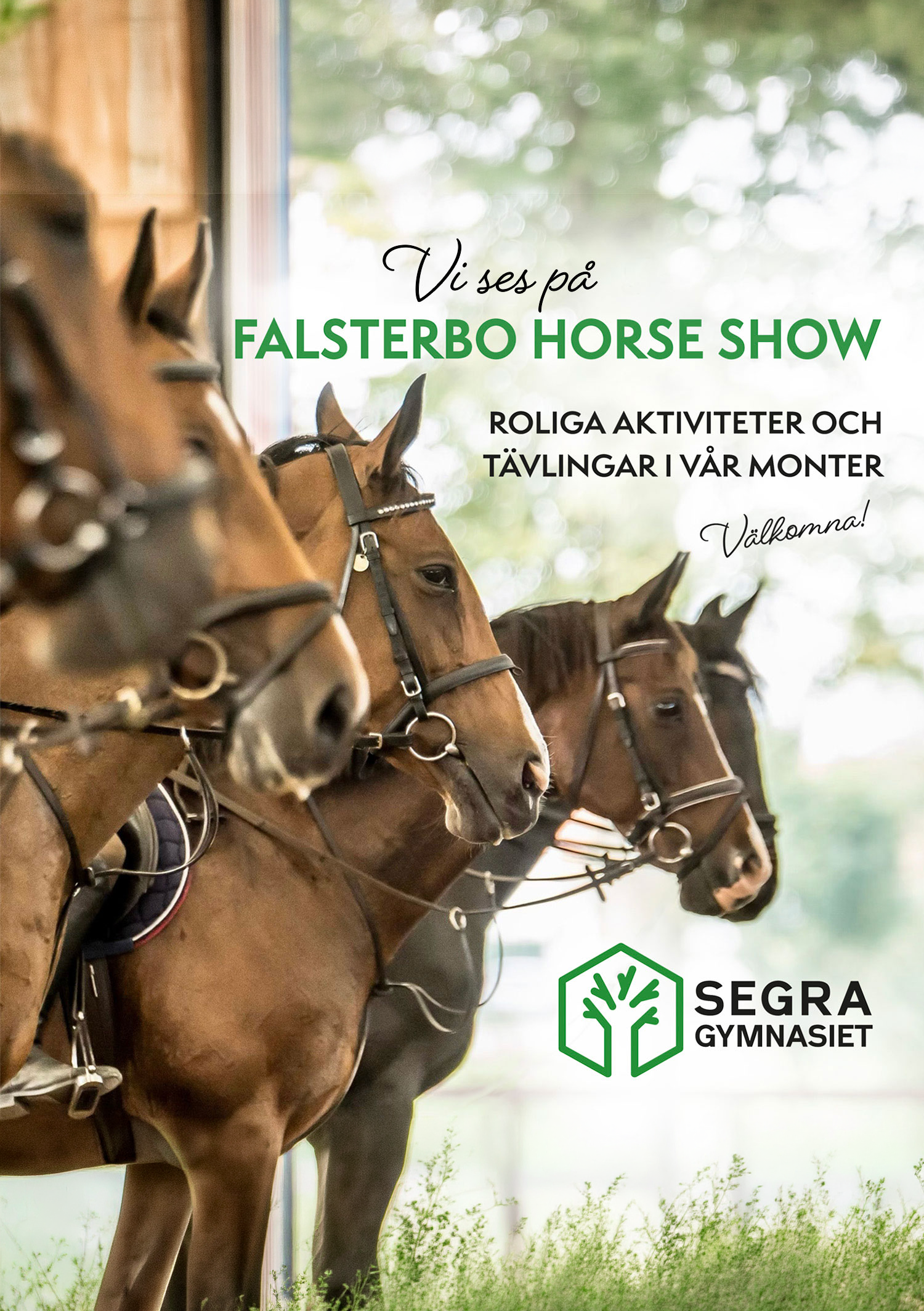 Du visar för närvarande Falsterbo Horse Show