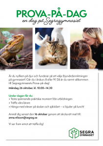 Läs mer om artikeln Prova-på-dag Djurvård